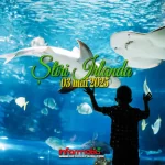 Știri Irlanda 03 mai 2025 Informatia IRL