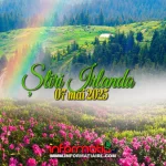 Știri Irlanda 07 mai 2025 Informatia IRL