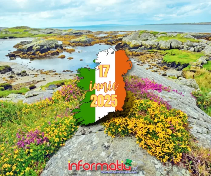Știri Irlanda 17 iunie 2025 Informatia IRL