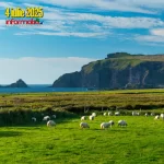 Știri Irlanda ☘️ 04 iulie 2025