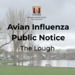 Atenționare publică în Cork: gripă aviară detectată la păsările sălbatice în The Lough Gripă aviară The Lough Cork: păsări sălbatice moarte pe malul lacului - măsuri de siguranță și atenționare publică