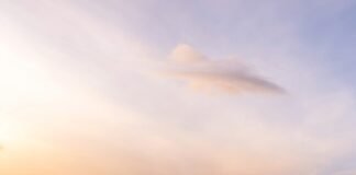 Tânăr aflat în stare critică la terapie intensivă, la 10 zile după un atac violent în fața unui fast-food din Bray