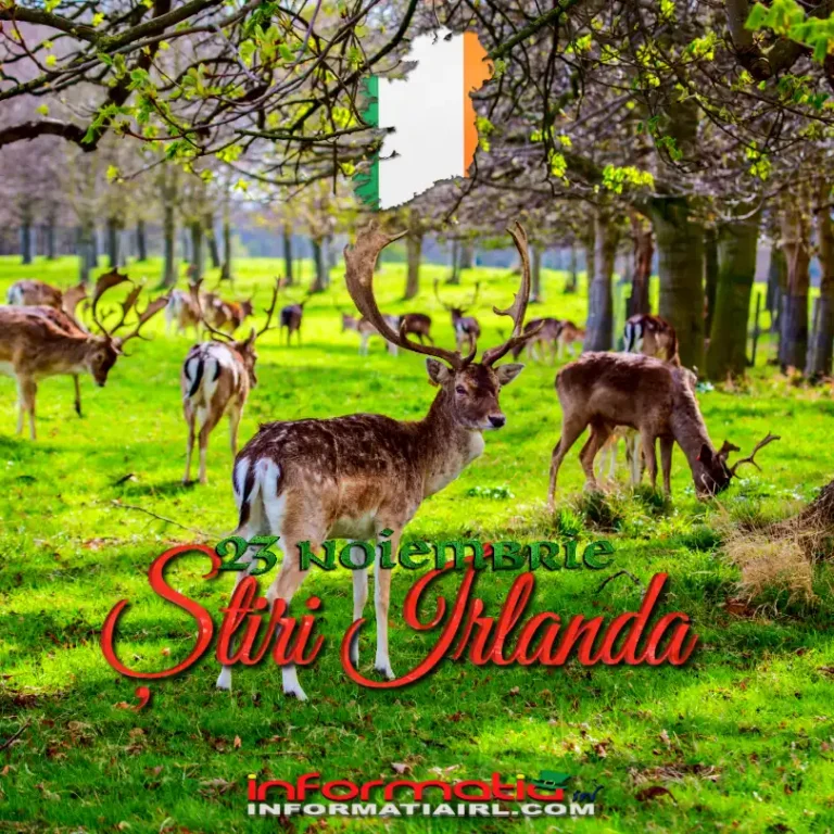 Știri Irlanda