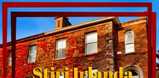 Știri Irlanda 09 DECEMBRIE 2025