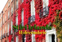 Stiri din Irlanda