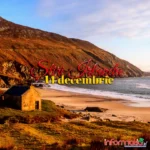 Știri din Irlanda 14 decembrie 2025