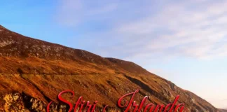 Știri din Irlanda 14 decembrie 2025