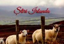 Știri Irlanda ☘️ 16 decembrie 2025 Știri Irlanda 16 decembrie 2025