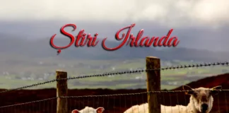 Știri Irlanda 16 decembrie 2025