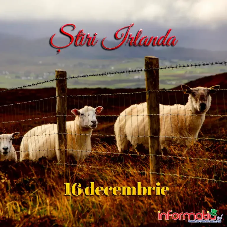 Știri Irlanda 16 decembrie 2025
