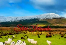 Știri Irlanda ☘️ 17 decembrie 2025 Știri Irlanda 17 decembrie 2025