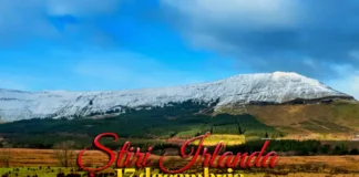 Știri Irlanda 17 decembrie 2025