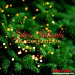 Știri Irlanda 26 decembrie