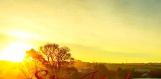 Știri Irlanda 04 IANUARIE 2026