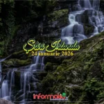 Stiri Irlanda 24 ianuarie 2026