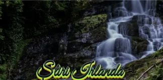 Stiri Irlanda 24 ianuarie 2026