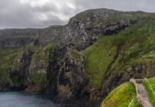 Știri Irlanda ☘️ 19 ianuarie 2026