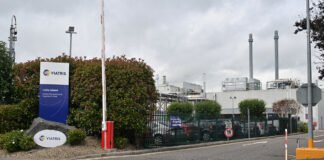 Mai multe companii anunță reduceri de personal: sute de locuri de muncă vizate în Irlanda