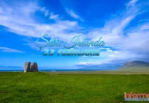 Stiri Irlanda 23 februarie 2026