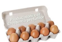 Avertisment privind posibile penurii de ouă în Irlanda, pe fondul creșterii costurilor