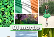 Știri Irlanda ⎜ 01 martie 2026