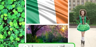 Știri Irlanda ⎜ 01 martie 2026