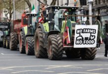 Protestele pentru combustibil paralizează Irlanda: blocaje majore în Dublin și risc de penurie de carburanți