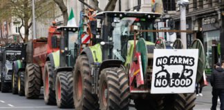 Protestele pentru combustibil paralizează Irlanda: blocaje majore în Dublin și risc de penurie de carburanți