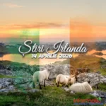 Știri Irlanda ⎜14 aprilie 2026
