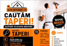 Se caută taperi pentru lucrări în Dublin, Mullingar și împrejurimi