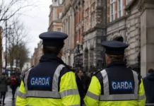 Bărbat din Dublin condamnat la muncă în folosul comunității după agresarea unei bone de 18 ani