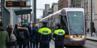 Femeie obligată să stea departe de Luas timp de doi ani după o serie de furturi