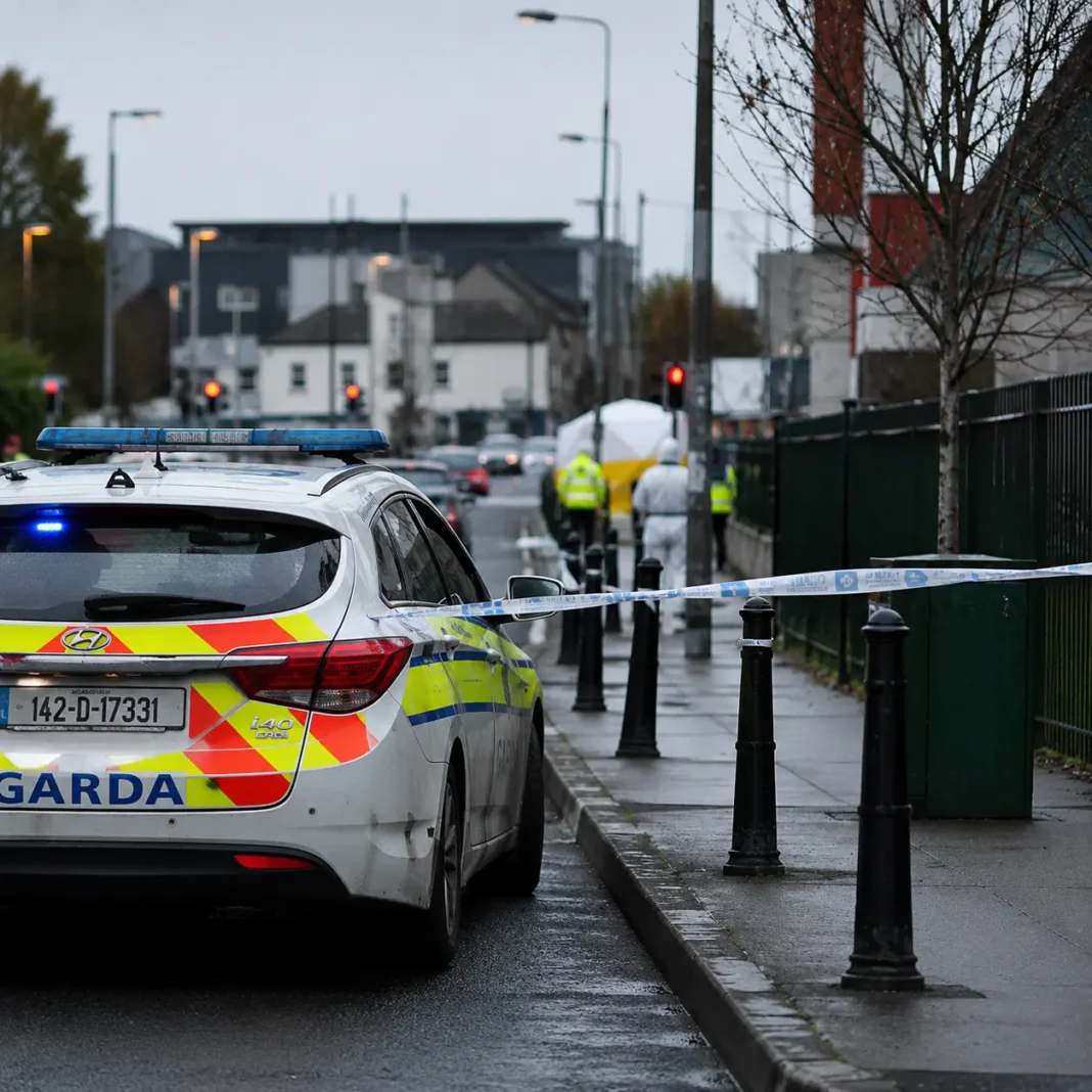 Doi adolescenți arestați după un atac violent în Blanchardstown. Victima este în stare critică