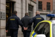 Funcționar public din Dublin, acuzat că a transmis informații confidențiale unui serviciu secret străin