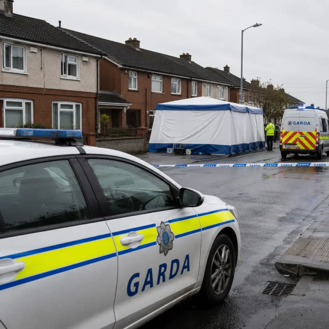Bărbat arestat după moarte suspectă într-o locuință din Dublin