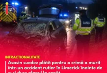 Asasin suedez plătit pentru o crimă a murit într-un accident