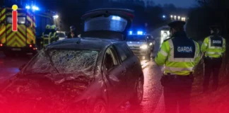 Asasin suedez plătit pentru o crimă a murit într-un accident