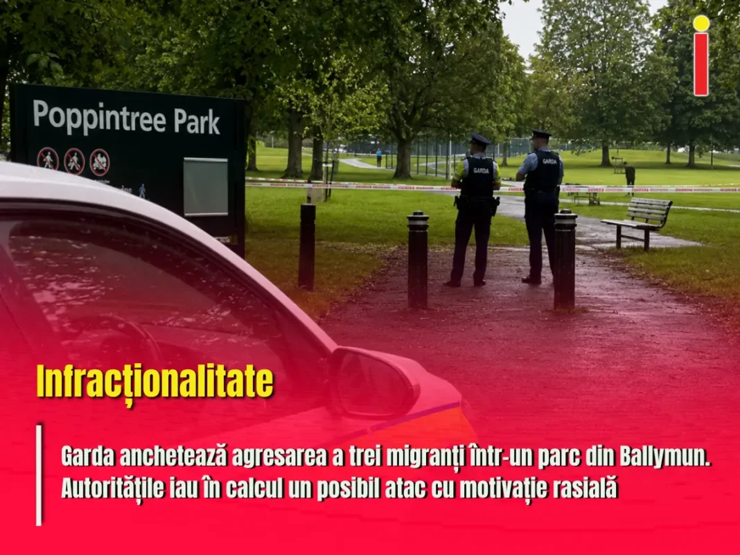Garda anchetează agresarea a trei imigranți