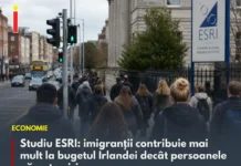 Studiu ESRI: imigranții contribuie mai mult la bugetul Irlandei decât persoanele născute în țară