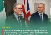 Irlanda și Marea Britanie vor măsuri mai stricte împotriva abuzurilor legate de Zona Comună de Călătorie