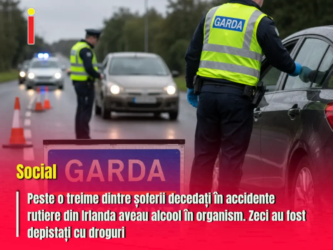 Peste o treime dintre șoferii decedați aveau alcool în organism