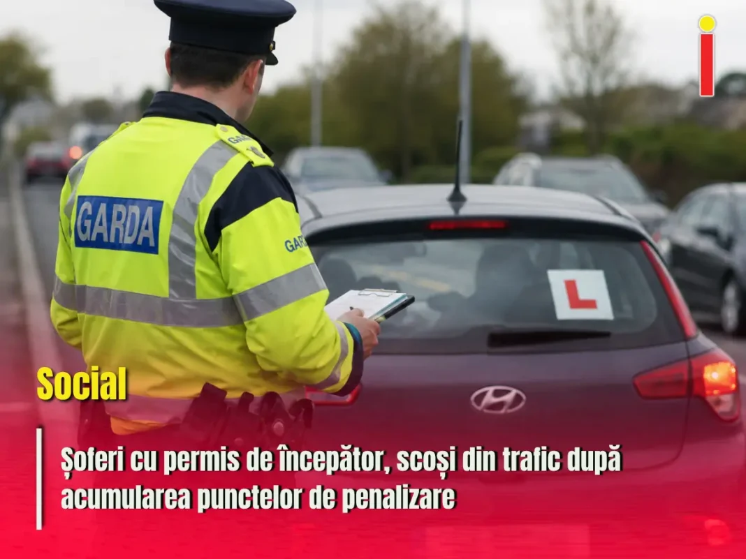 Aproape 3.000 de șoferi cu permis de începător au primit interdicție