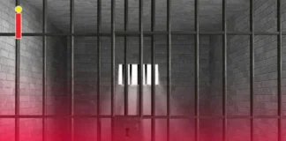 Român condamnat la 11 ani de închisoare în Irlanda după ce s-a dat drept taximetrist și a violat o femeie