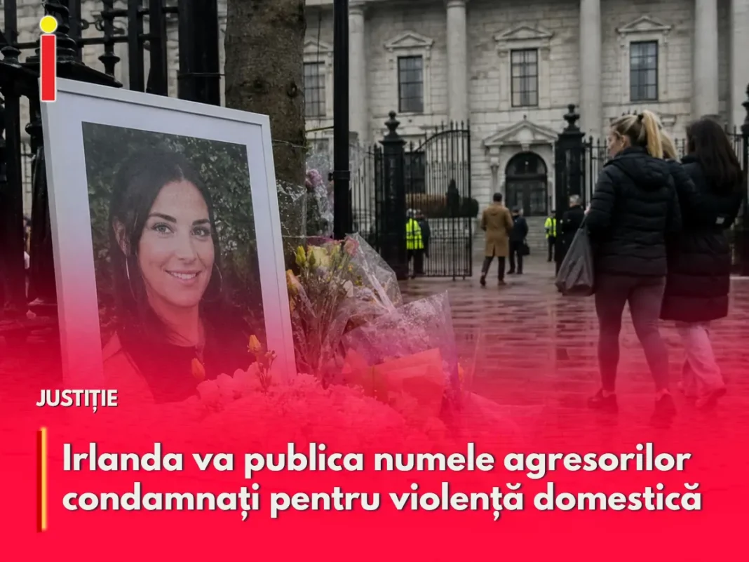 Irlanda va publica pentru prima dată numele agresorilor condamnați pentru violență domestică gravă