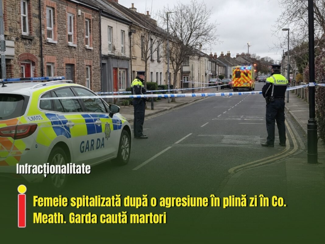Femeie spitalizată după o agresiune în plină zi în Co. Meath. Garda caută martori