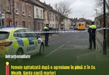 Femeie spitalizată după o agresiune în plină zi în Co. Meath. Garda caută martori