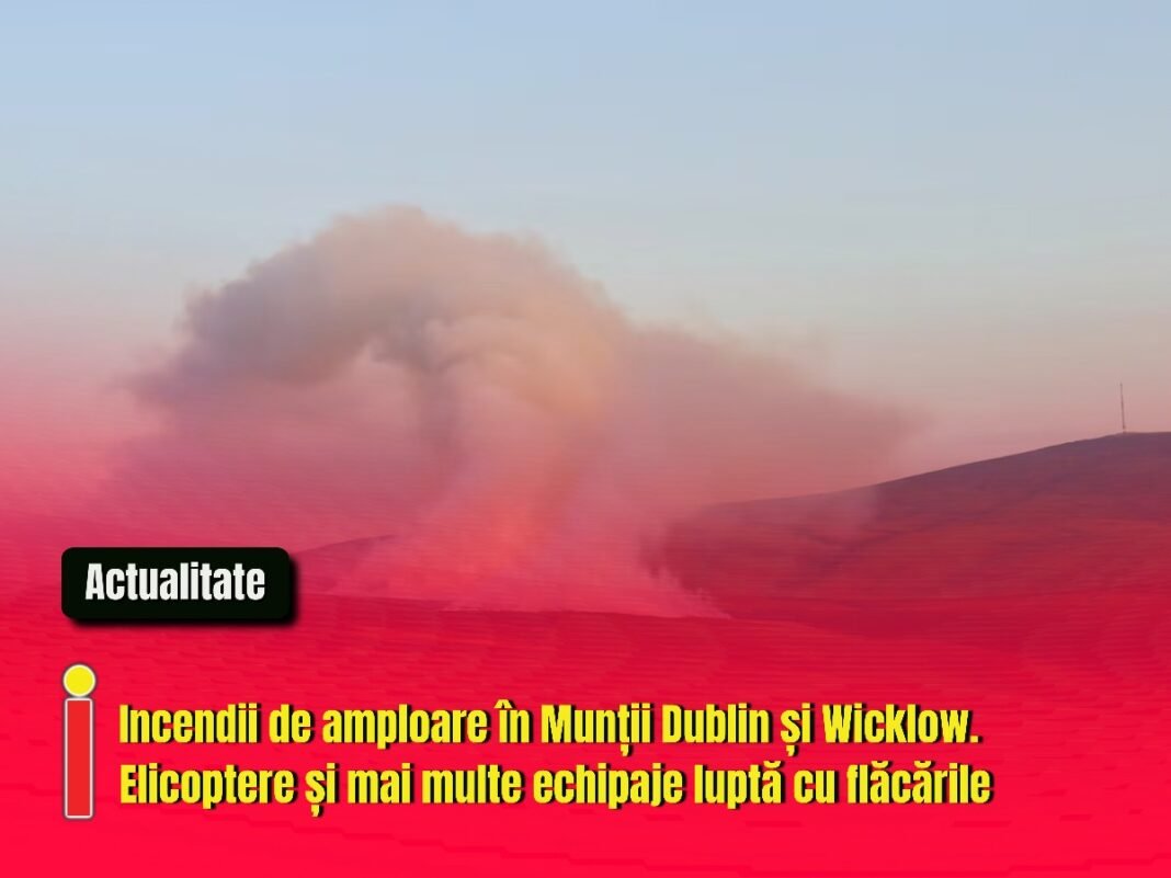 Incendii de amploare în Munții Dublin și Wicklow. Elicoptere și mai multe echipaje luptă cu flăcările