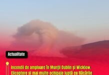 Incendii de amploare în Munții Dublin și Wicklow. Elicoptere și mai multe echipaje luptă cu flăcările