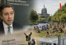 Știri Irlanda: rezumatul dimineții – 11 iulie 2026