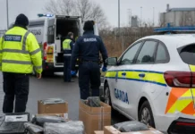 Cannabis în valoare de peste 1,6 milioane de euro, confiscat la Dundalk într-o operațiune transfrontalieră Cannabis confiscat în operațiune la Dundalk